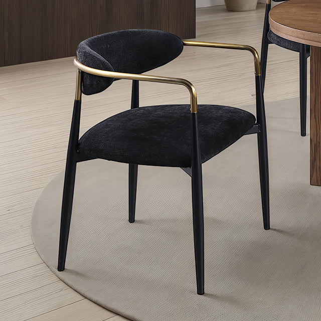 Gaetani Set Of 2 Arm Chair
