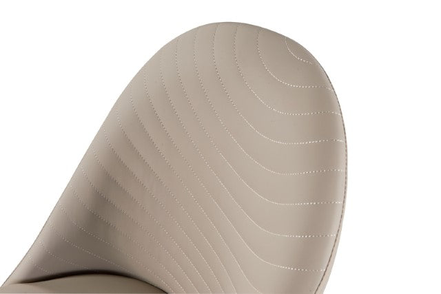 Lenvik Set Of 2 Side Chair