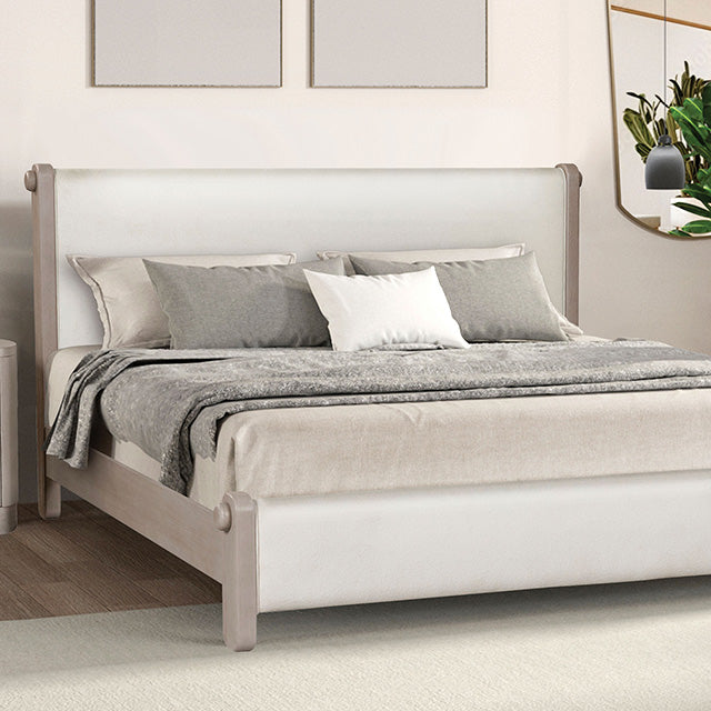 Pocatello Bed