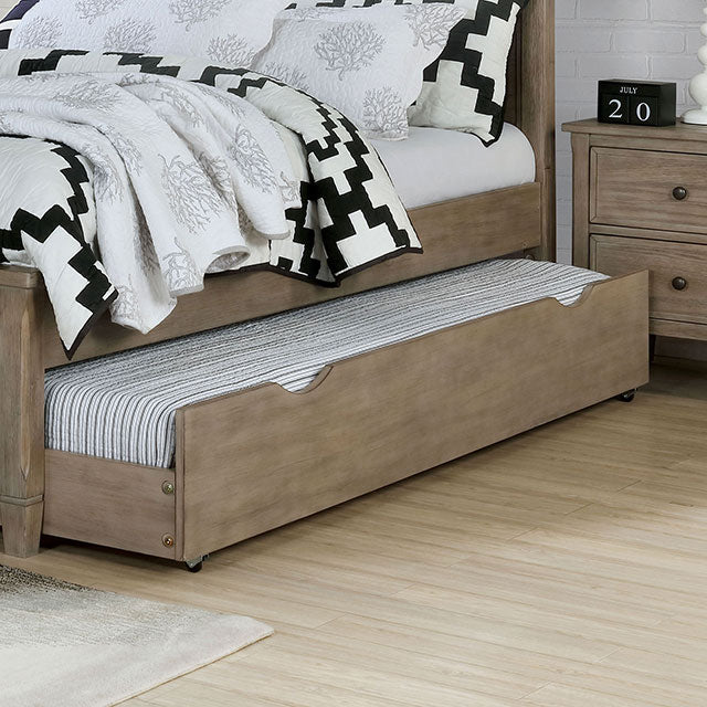Vevey Trundle