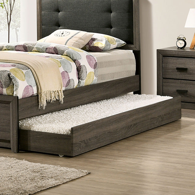 Roanne Trundle