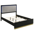 Caraway Wood LED Panel Bed Black — Black King