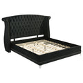 Barzini Upholstered Wingback Bed Black — Black King