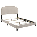 Tamarac Upholstered Panel Bed Beige — Beige Full
