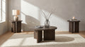 Aragon 3-Piece Round Coffee and End Table Set Dark Rustic Mango
