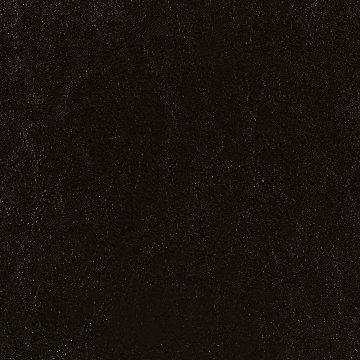 Dorian Faux Leather Upholstered Full Panel Bed Brown