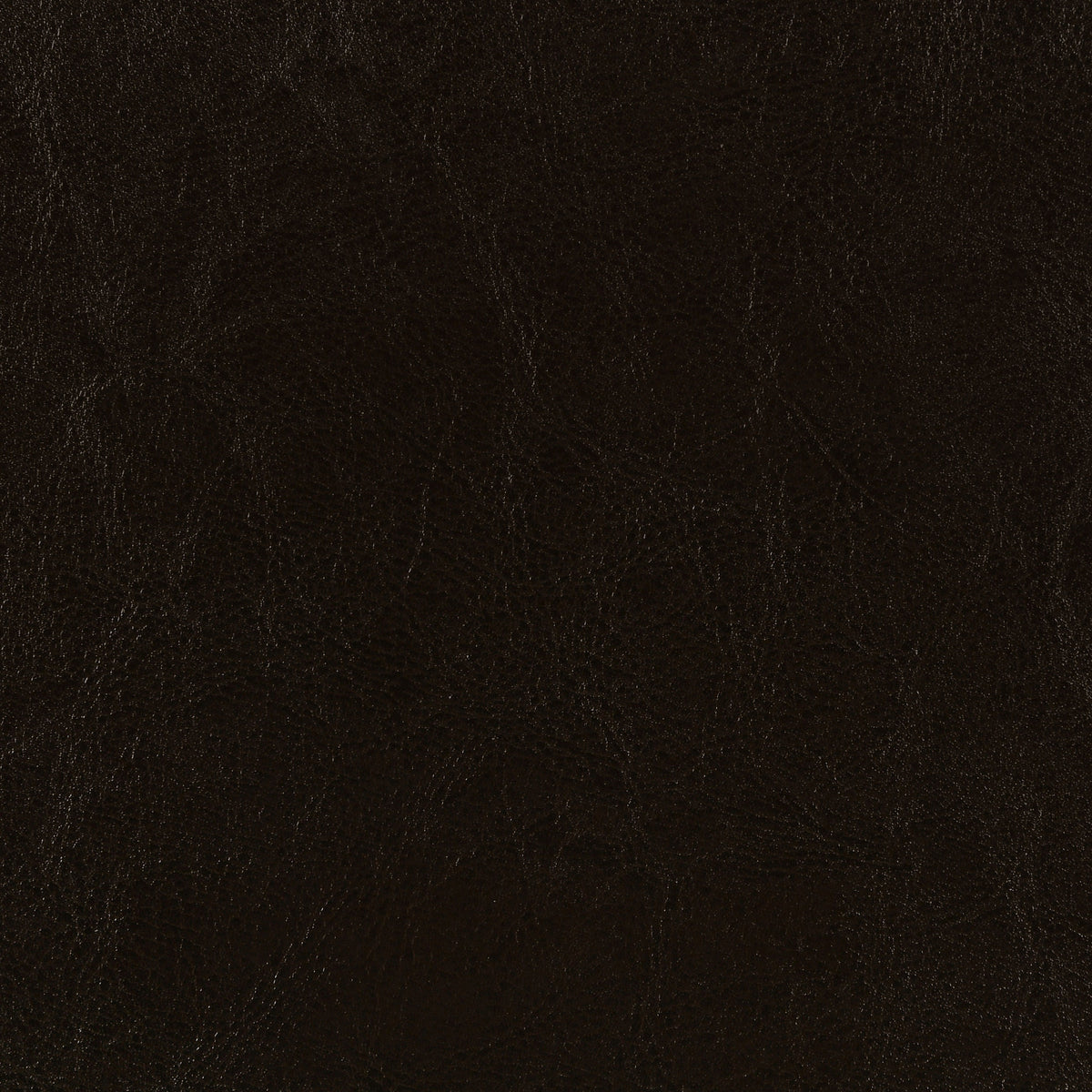 Dorian Faux Leather Upholstered Queen Panel Bed Brown