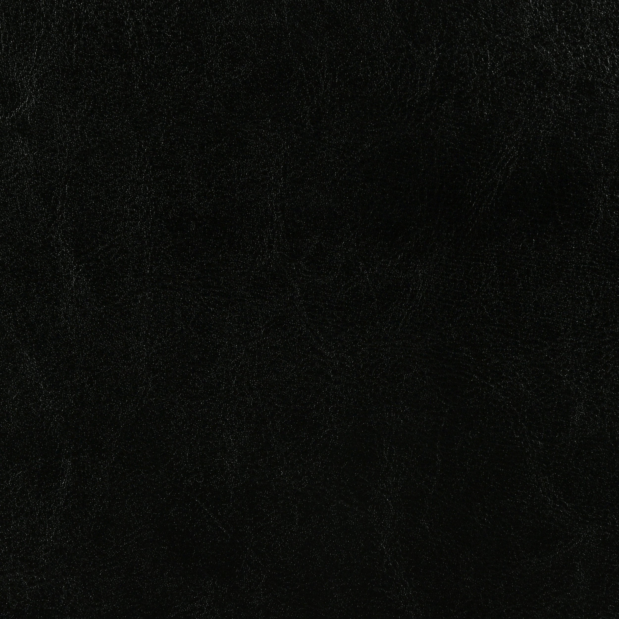 Dorian Faux Leather Upholstered Twin Panel Bed Black