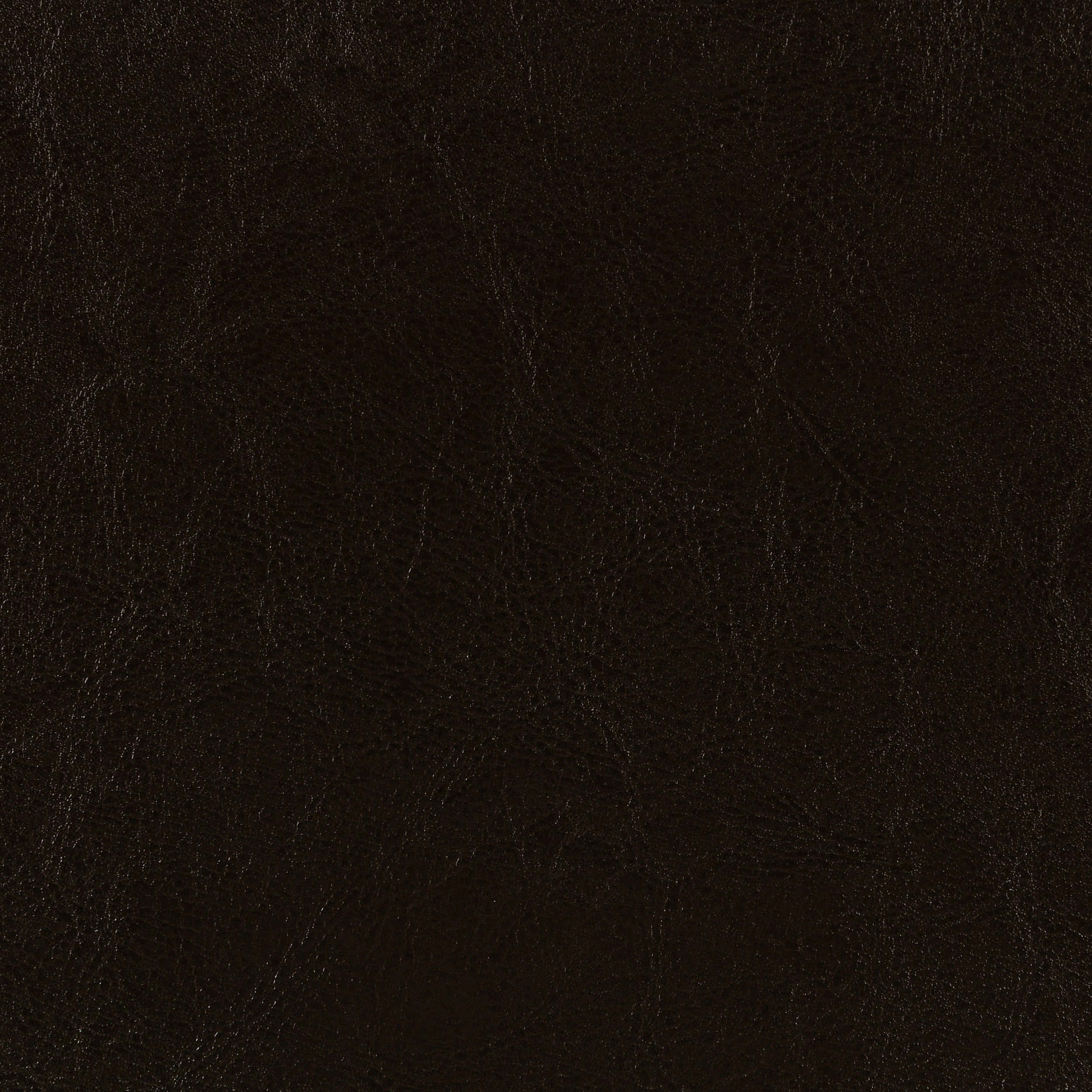 Dorian Faux Leather Upholstered Eastern King Panel Bed Brown