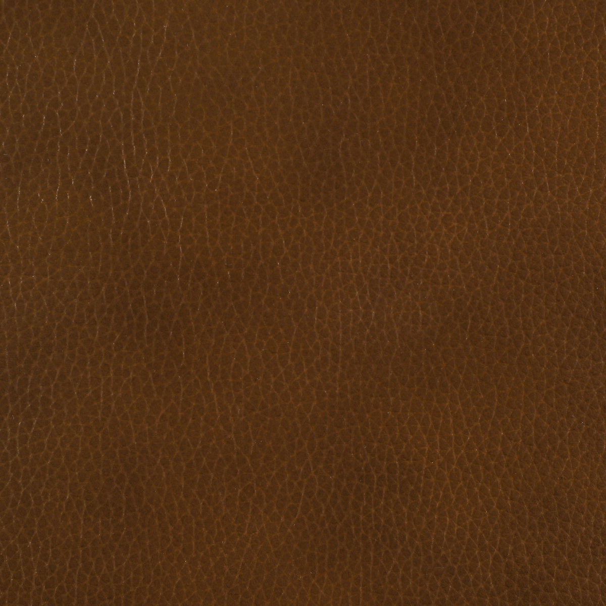 Vardon Genuine Leather Counter Height Chair Dark Brown (Set of 2)