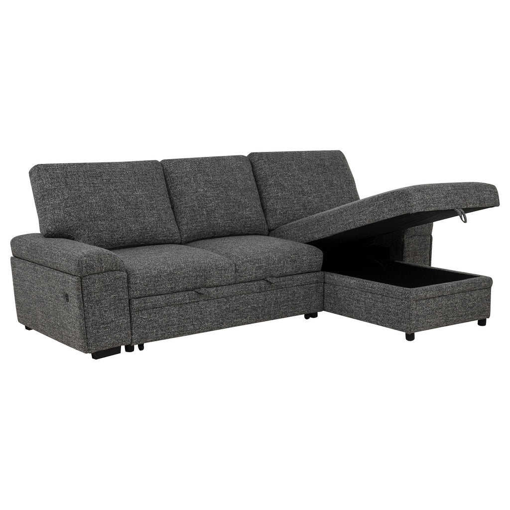 Demko Sleeper Sectional Sofa with Speaker and Storage Chaise Granite