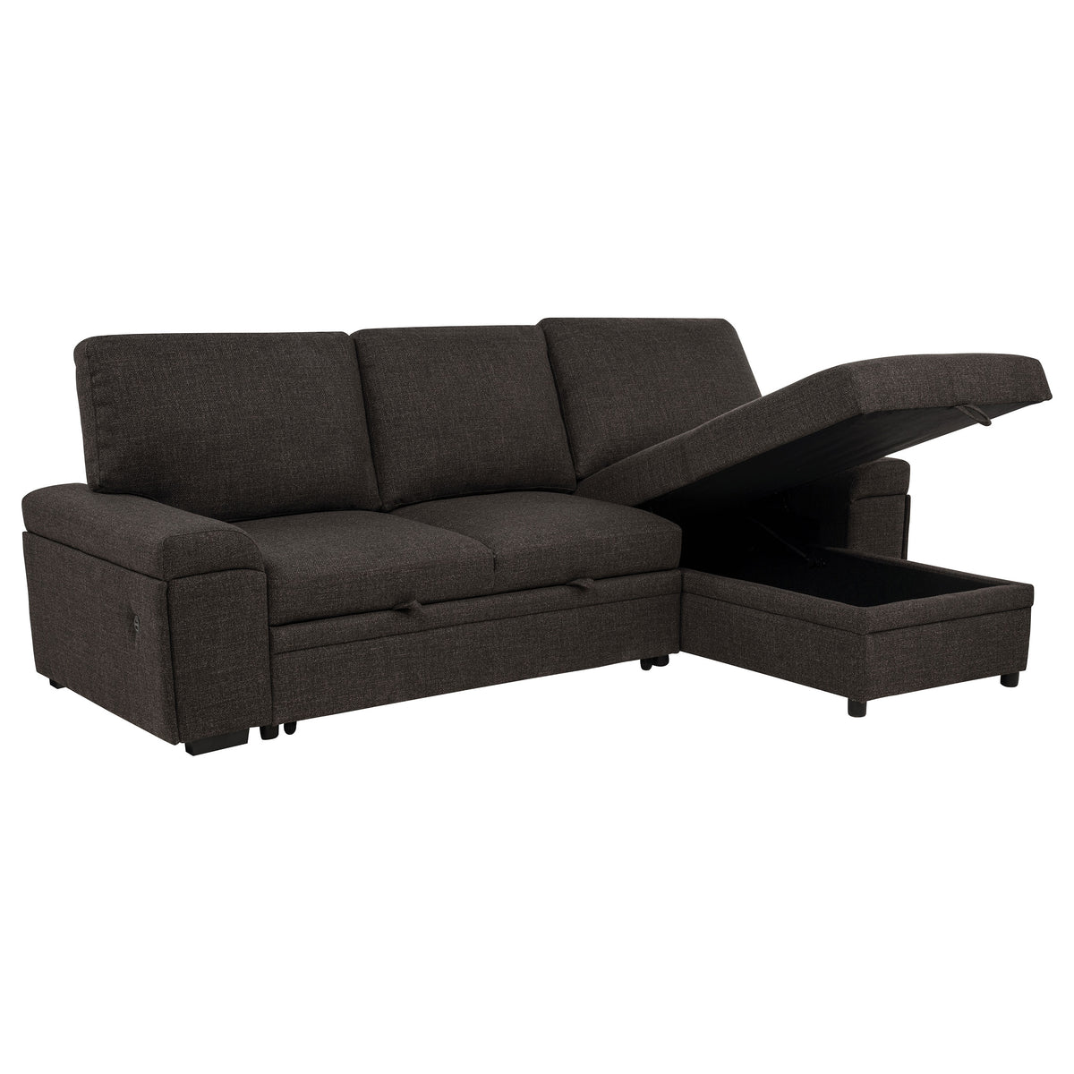 Demko Sleeper Sectional Sofa with Speaker and Storage Chaise Brown