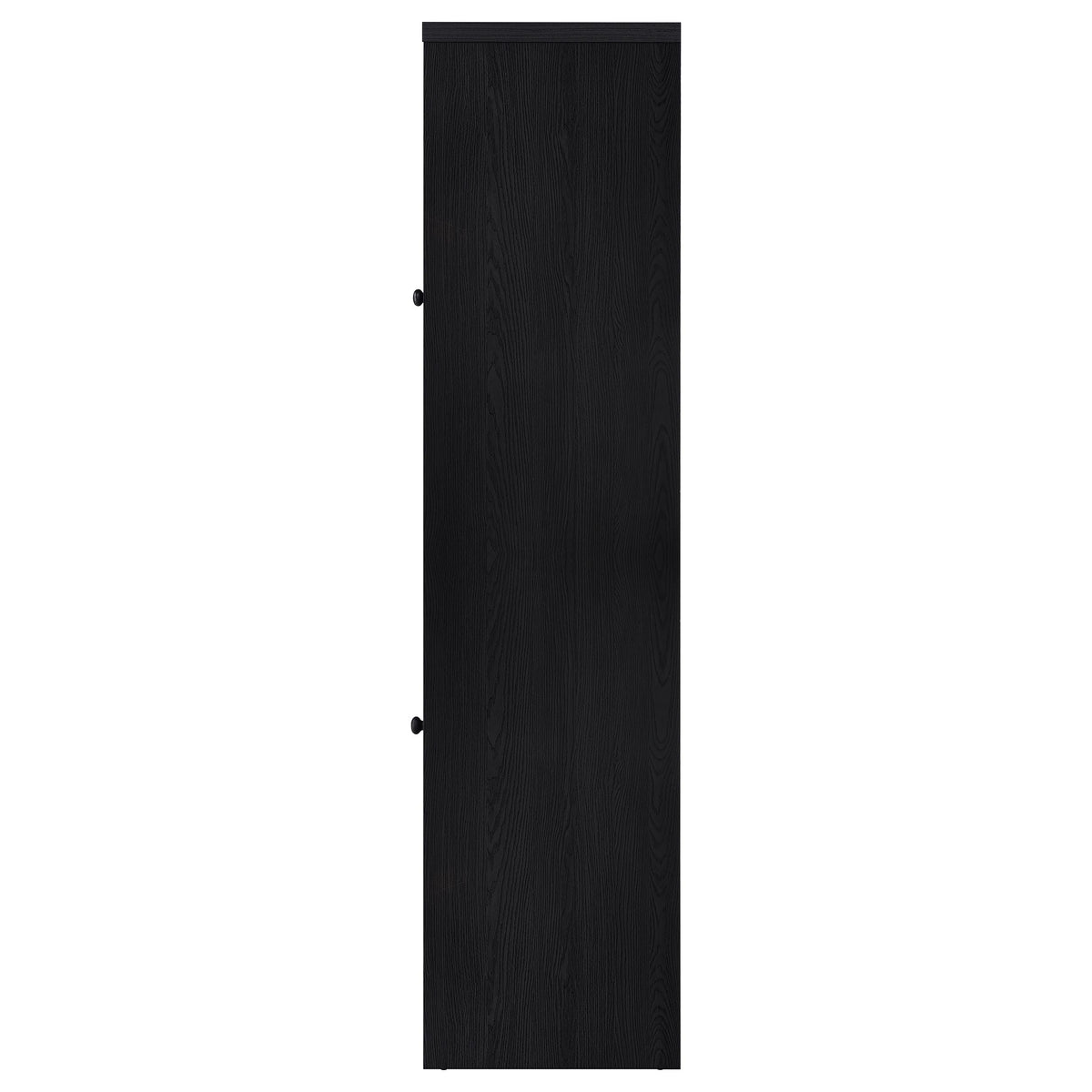 Denison 67-inch 2-door Media Tower Storage Cabinet Black