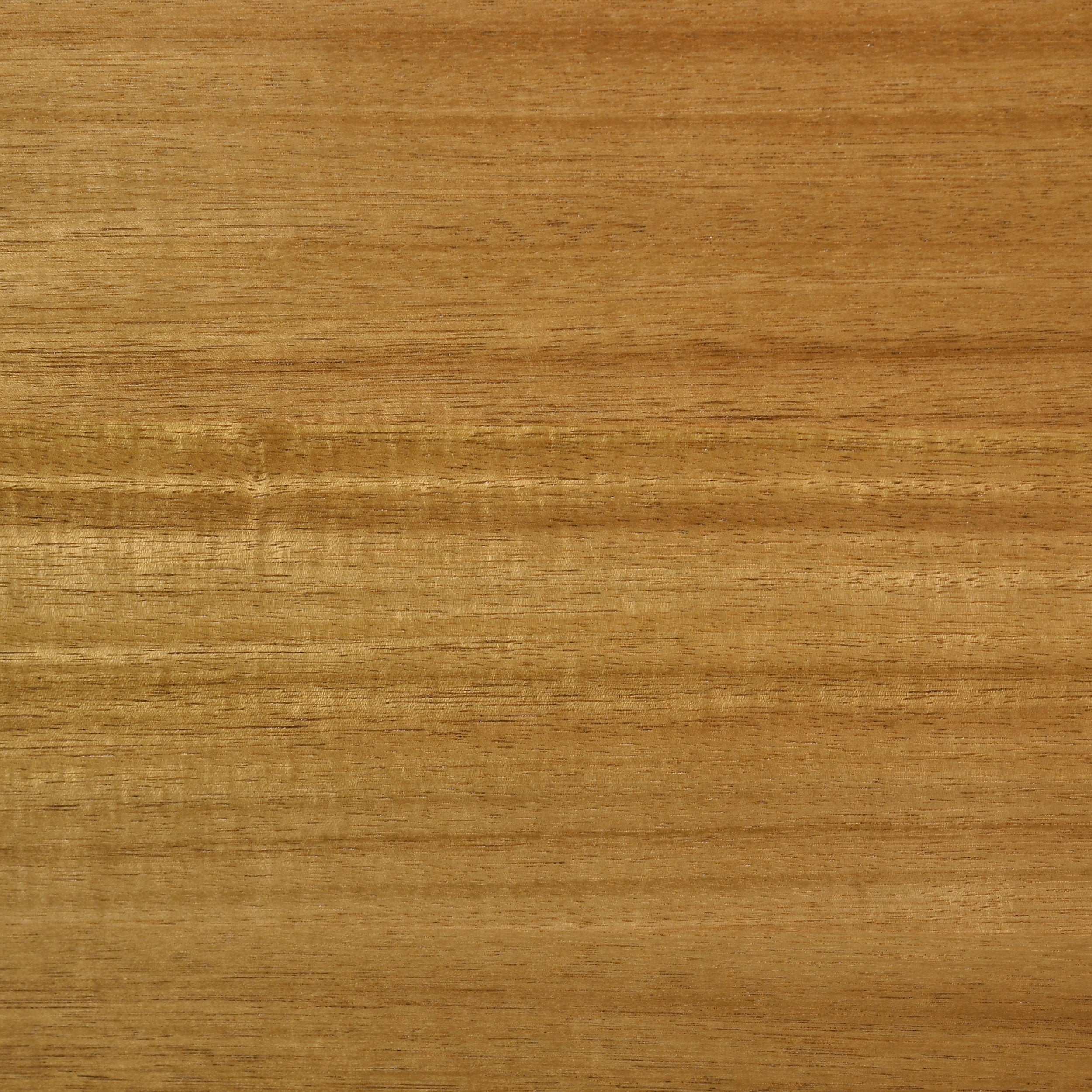 Fabra 79-inch Rectangular Wood Dining Table Honey