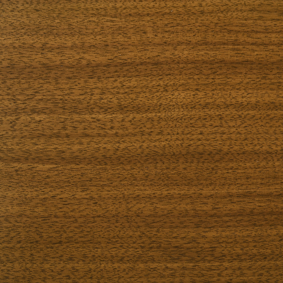 Galindo 52-inch Round Walnut Veneer Dining Table Walnut