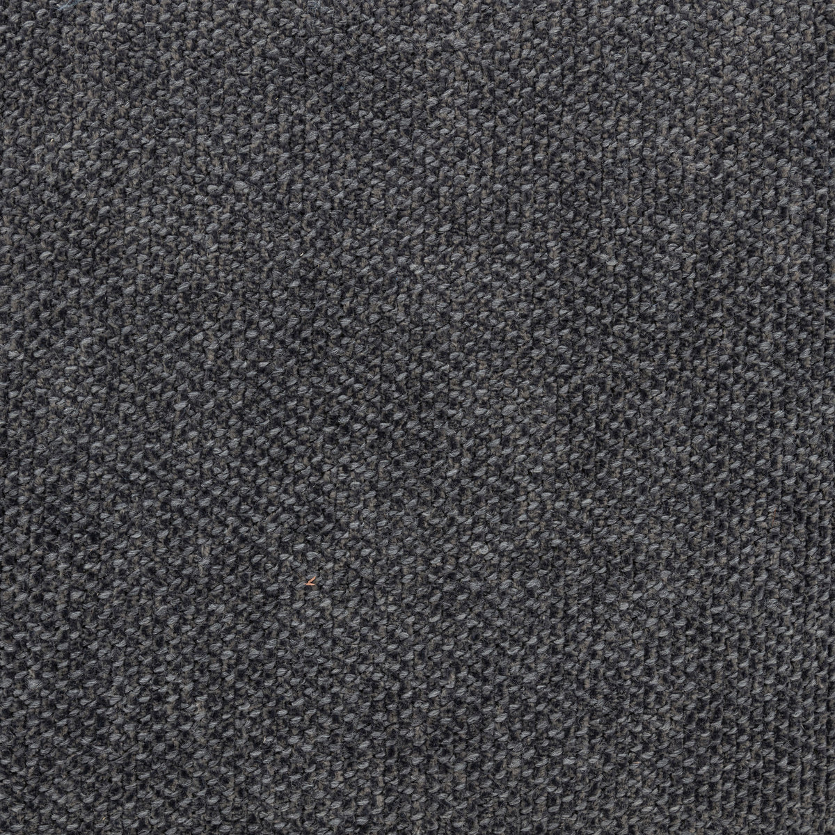 Nollet 48-inch Upholstered Queen Panel Platform Bed Grey