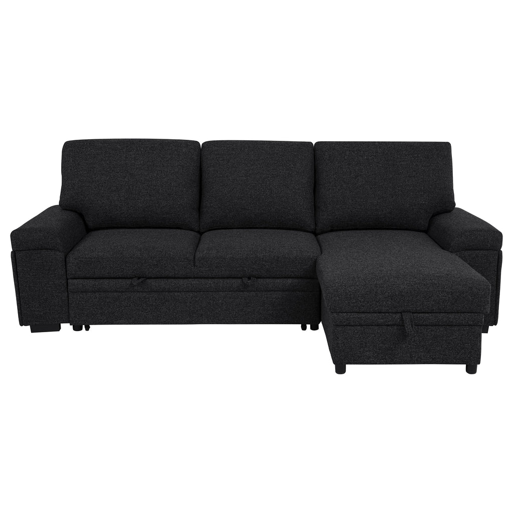 Demko Sleeper Sectional Sofa with Speaker and Storage Chaise Black