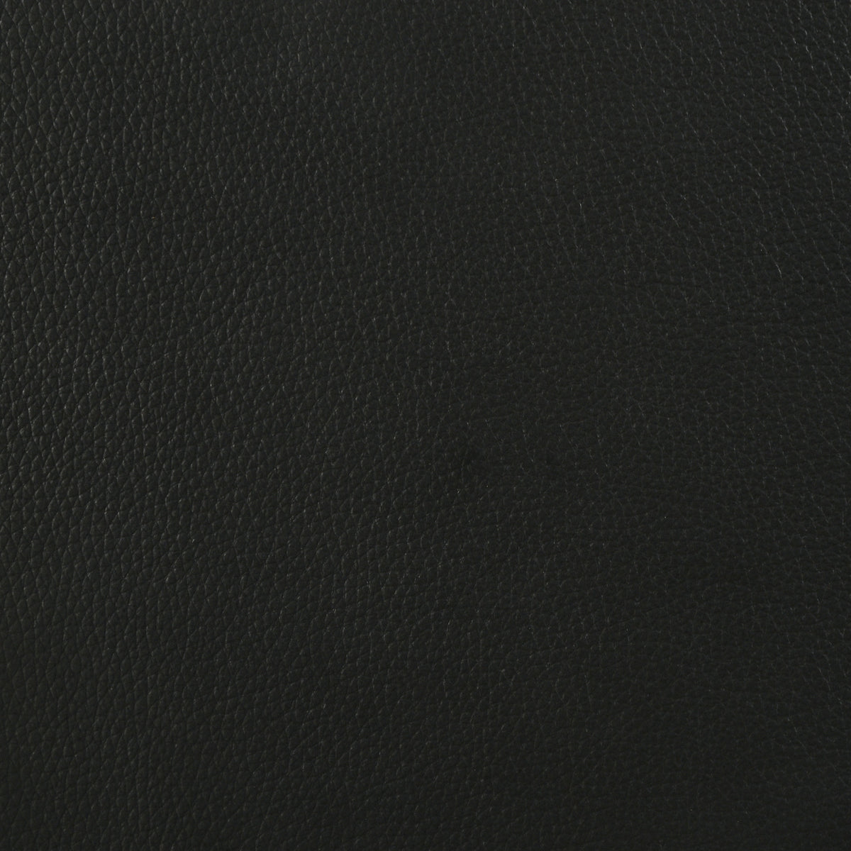 Medley Genuine Leather Queen Panel Platform Bed Black