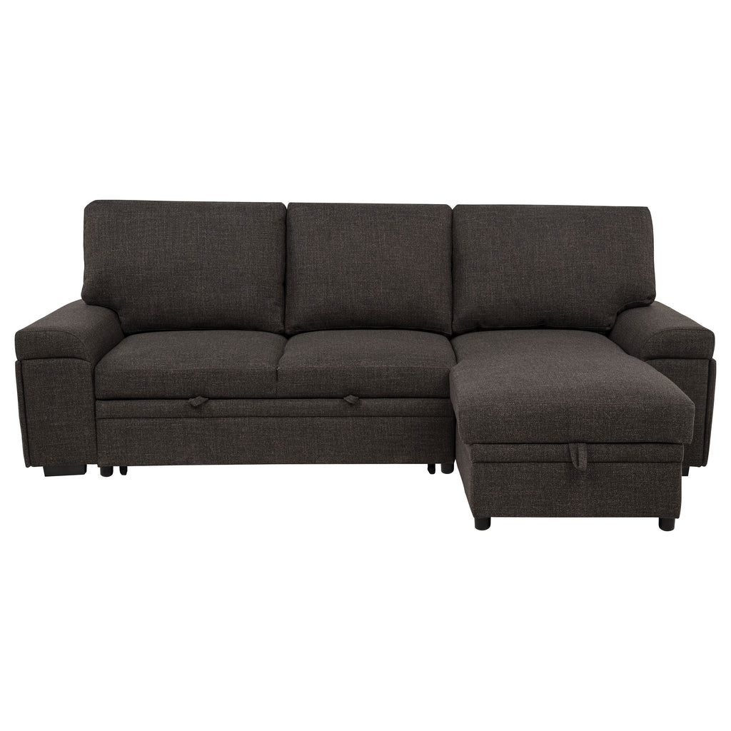 Demko Sleeper Sectional Sofa with Speaker and Storage Chaise Brown