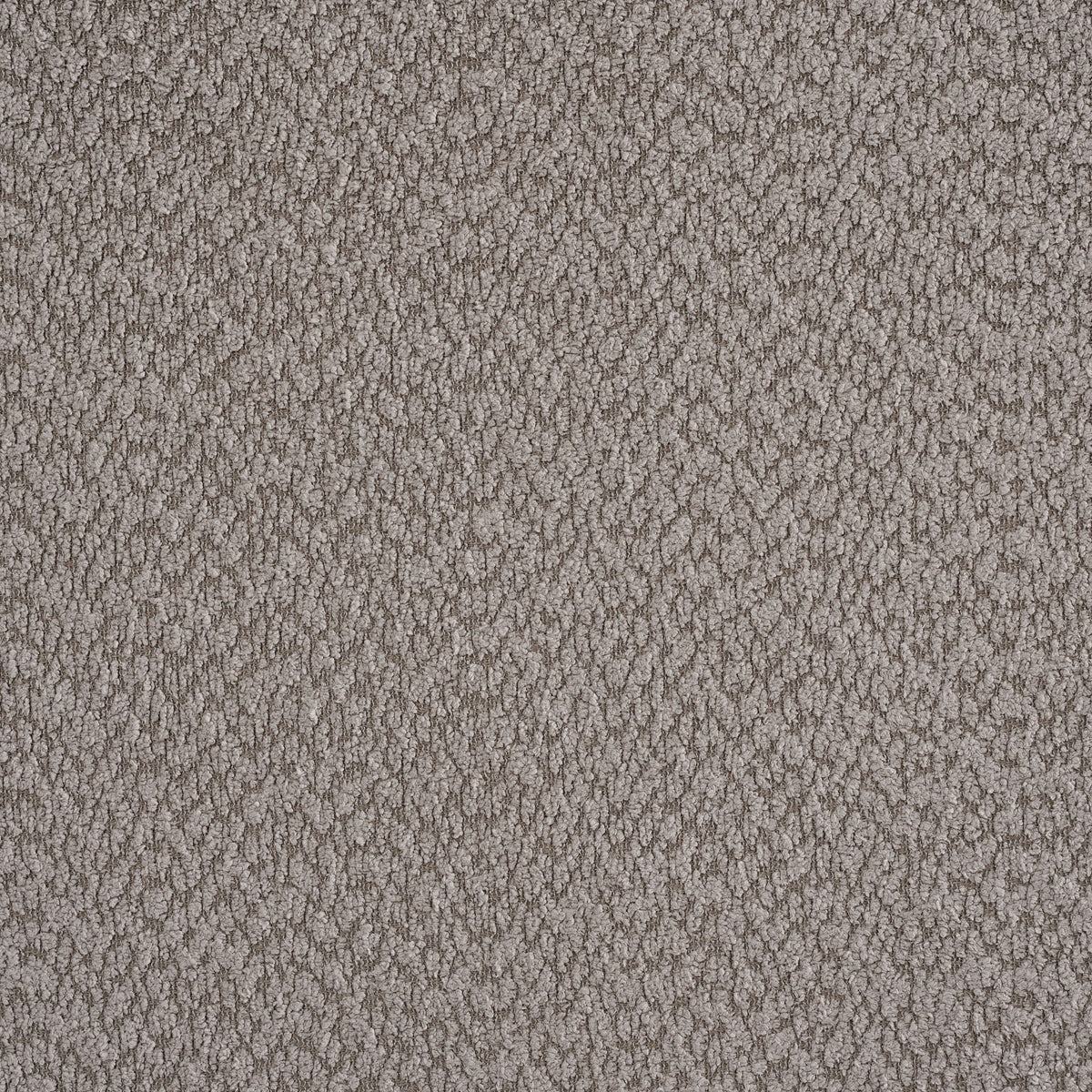 Catkin Bedroom