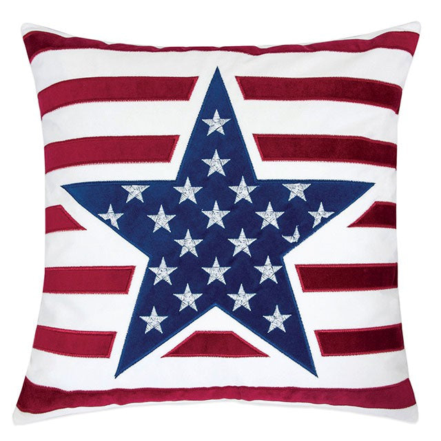 Texis Accent Pillow