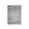 Annmarie 5' X 7' Silver Area Rug