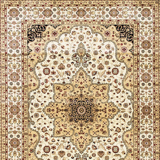 Shinta Area Rug