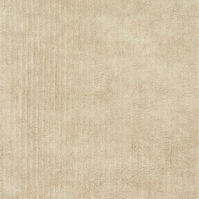 Zala Shag Medium Area Rug