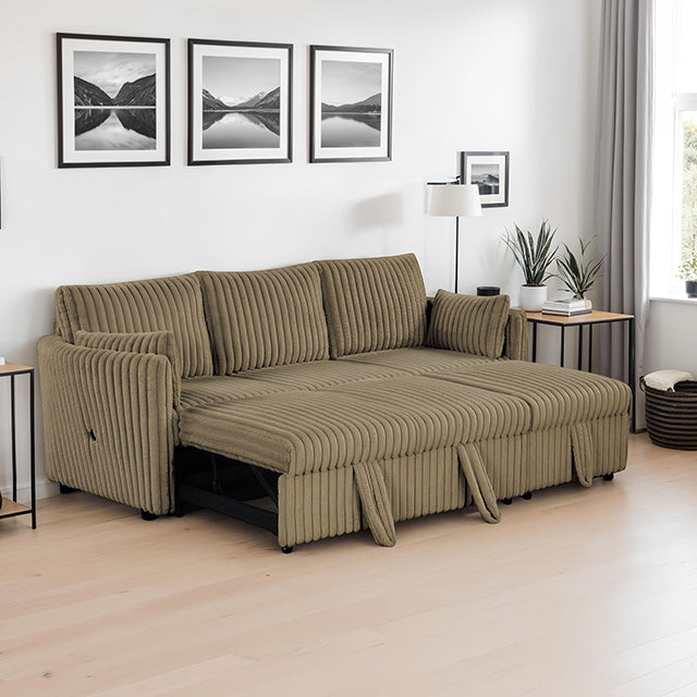 Denholme Sectional with Pull Out